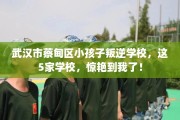 武汉市蔡甸区小孩子叛逆学校，这5家学校，惊艳到我了！