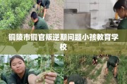 铜陵市铜官叛逆期问题小孩教育学校