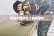 宜昌市西陵区戒网瘾学校
