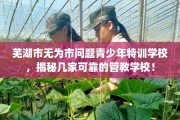 芜湖市无为市问题青少年特训学校，揭秘几家可靠的管教学校！
