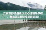 六安市舒城县青少年心理辅导学校，精选这5家学校必有你需！