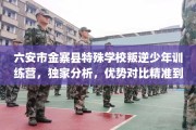 六安市金寨县特殊学校叛逆少年训练营，独家分析，优势对比精准到位！