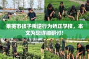莱芜市孩子叛逆行为矫正学校，本文为您详细研讨！