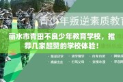 丽水市青田不良少年教育学校，推荐几家超赞的学校体验！