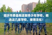 临沂市费县叛逆期青少年学校，精选这几家学校，使用无忧！