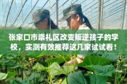 张家口市崇礼区改变叛逆孩子的学校，实测有效推荐这几家试试看！