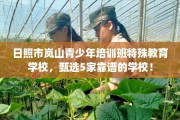 日照市岚山青少年培训班特殊教育学校，甄选5家靠谱的学校！