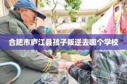 合肥市庐江县孩子叛逆去哪个学校