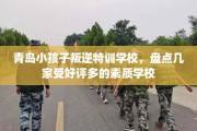 青岛小孩子叛逆特训学校，盘点几家受好评多的素质学校