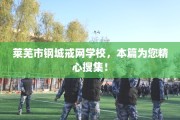 莱芜市钢城戒网学校，本篇为您精心搜集！