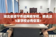 湖北省咸宁市戒网瘾学校，精选这5家学校必有你需！