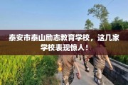 泰安市泰山励志教育学校，这几家学校表现惊人！