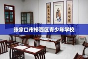 张家口市桥西区青少年学校