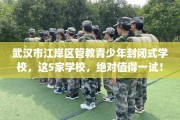 武汉市江岸区管教青少年封闭式学校，这5家学校，绝对值得一试！
