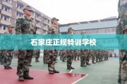 石家庄正规特训学校