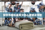 安庆市宿松县青少年心理矫正学校