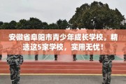安徽省阜阳市青少年成长学校，精选这5家学校，实用无忧！