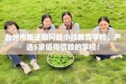 台州市叛逆期问题小孩教育学校，严选5家值得信赖的学校！
