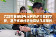 六安市金寨县有没有青少年教育学校，基于多年经验推荐这几家学校！
