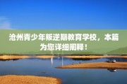 沧州青少年叛逆期教育学校，本篇为您详细阐释！