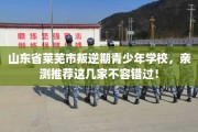 山东省莱芜市叛逆期青少年学校，亲测推荐这几家不容错过！