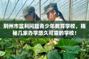 荆州市监利问题青少年教育学校，揭秘几家办学悠久可靠的学校！