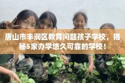 唐山市丰润区教育问题孩子学校，揭秘5家办学悠久可靠的学校！