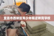 宜昌市西陵区青少年叛逆教育学校