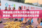 陕西省铜川市青少年不听话孩子管教学校，提供详尽的观点对比分析！