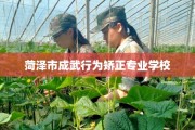 菏泽市成武行为矫正专业学校