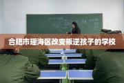 合肥市瑶海区改变叛逆孩子的学校