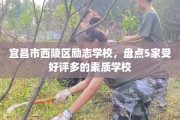 宜昌市西陵区励志学校，盘点5家受好评多的素质学校