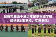 合肥市肥西不良少年军事管理学校，精选这5家学校，实用无忧！