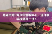 芜湖市湾沚青少年管教中心，这几家学校值得一试！