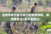 沧州市肃宁县不良少年教育学校，亲测推荐这5家不容错过！