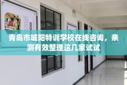 青岛市城阳特训学校在线咨询，亲测有效整理这几家试试