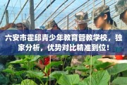 六安市霍邱青少年教育管教学校，独家分析，优势对比精准到位！