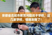 安徽省合肥市教育问题孩子学校，这几家学校，惊艳到我了！