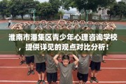 淮南市潘集区青少年心理咨询学校，提供详见的观点对比分析！