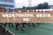 仙桃正规少年特训学校，强推这5家学校！