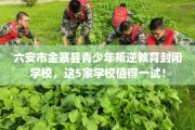 六安市金寨县青少年叛逆教育封闭学校，这5家学校值得一试！