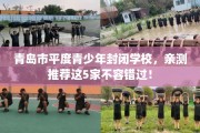 青岛市平度青少年封闭学校，亲测推荐这5家不容错过！