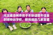 河北省沧州市孩子不听话管不住全封闭特训学校，精挑细选几家靠谱的学校！