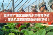 廊坊市广阳区叛逆青少年教育学校，筛选几家值得信赖的特训学校！
