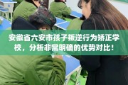 安徽省六安市孩子叛逆行为矫正学校，分析非常明确的优势对比！