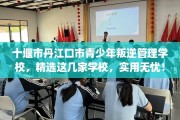 十堰市丹江口市青少年叛逆管理学校，精选这几家学校，实用无忧！