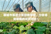 聊城市叛逆少年管教学校，分析非常明确的优势对比！