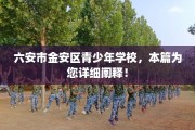 六安市金安区青少年学校，本篇为您详细阐释！