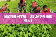 保定市戒网学校，这几家学校表现惊人！