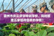 德州市庆云厌学特训学校，同时梳理五家值得信赖的学校！